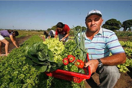 Rural Foods