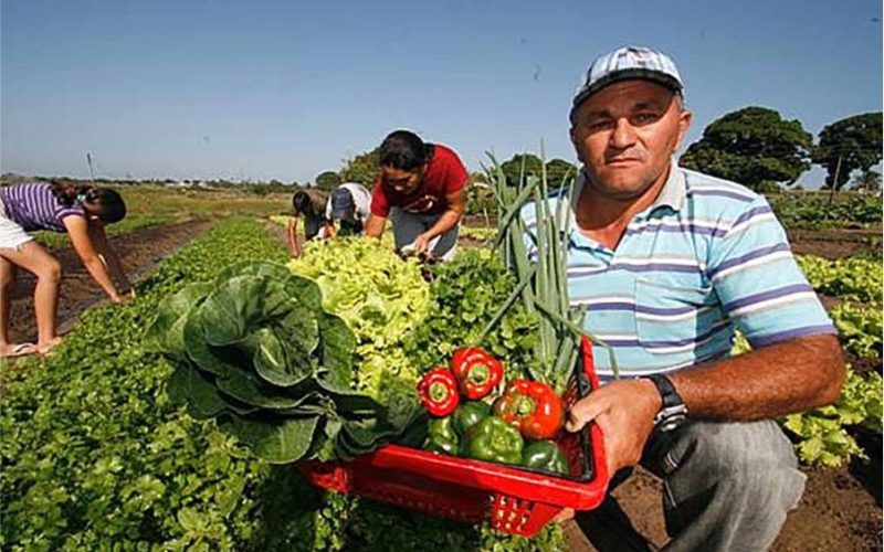 Rural Foods